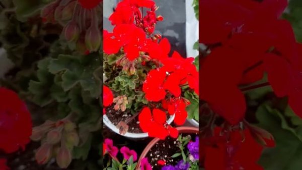 на пороге октября