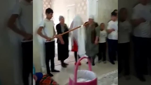 Беташар гоша смотреть онлайн