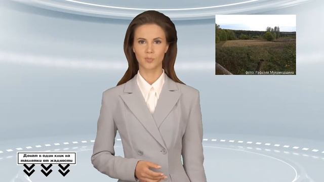 Третья часть лесных угодий отдано частные охотничьи хозяйства смотреть онлайн