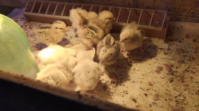 3 й день смотреть онлайн