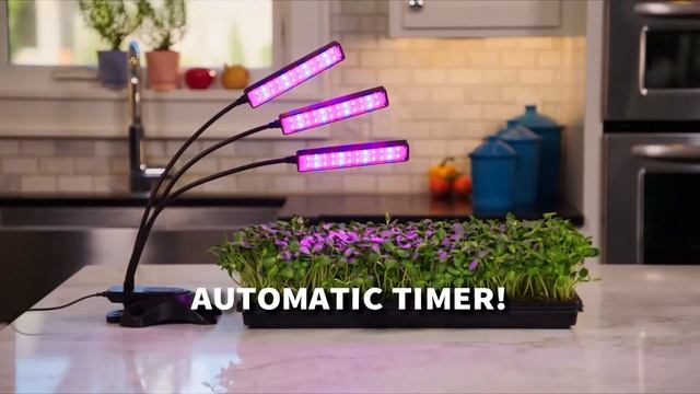 Grow Herbs, Spices, And More Right In Your Kitchen With Bionic Grow By Bell And Howell смотреть онлайн