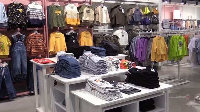 В Волгограде участковый задержал пытавшихся скрыться злоумышленников смотреть онлайн