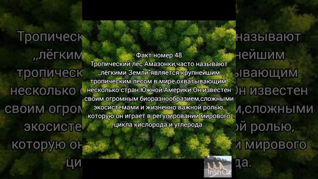 Факт48.Тропический лес смотреть онлайн