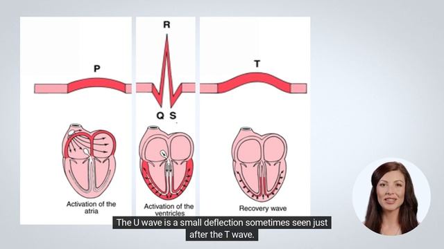 Understanding the P-QRS-T Cycle on ECG: Decoding the Heart's Rhythm. смотреть онлайн