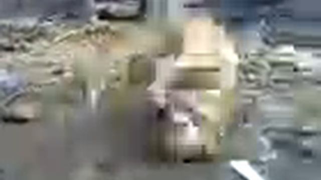 Биология для будущих специалистов