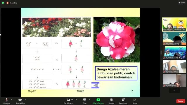 Pengantar Biologi Manusia TM 13 смотреть онлайн