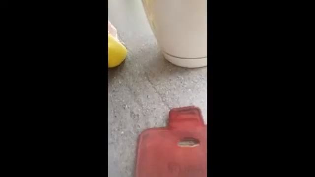 VLOG Школный день.Школа/Математика/Столовая/Нямка/Съёмка/Перемена смотреть онлайн