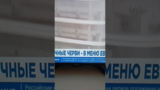 МЕНЮ ОТ МАТРИЦЫ ДЛЯ БИОМАССЫ🥴 смотреть онлайн