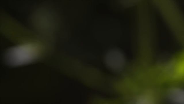 Tiny Titans - The Fascinating World of Insects | Free Documentary Nature смотреть онлайн