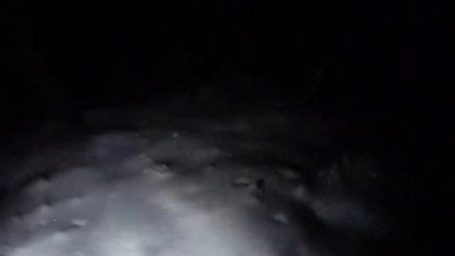 Лесной ОБОРОТЕНЬ | Нарвался на оборотня в лесу | Заснял ОБОРОТНЯ смотреть онлайн