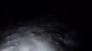 Лесной ОБОРОТЕНЬ | Нарвался на оборотня в лесу | Заснял ОБОРОТНЯ