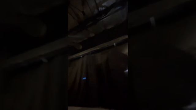 Путешествуй, студент! смотреть онлайн