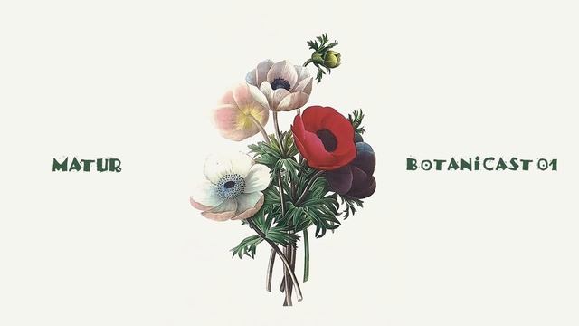 Matur - Botanicast 01 (Organic House) смотреть онлайн