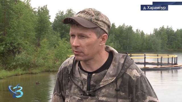 При поддержке губкинских нефтяников в Харампуре разводят форель 12+ смотреть онлайн