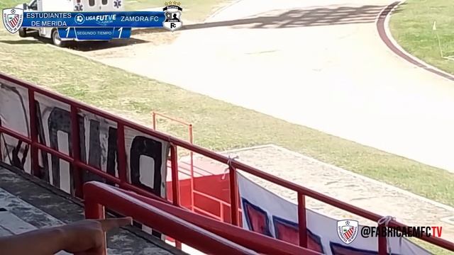 ESTUDIANTES DE MÉRIDA vs. ZAMORA FC | SUB15 | HIGHLIGHTS | LIGA FUTVE JUNIOR 12AGOSTO2023 смотреть онлайн