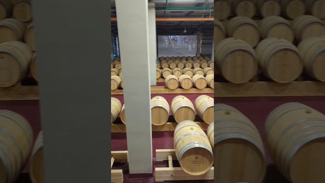 Шато де Талю #геленджик смотреть онлайн