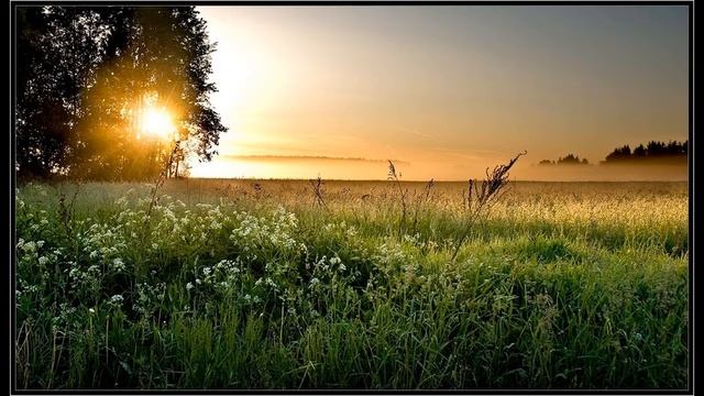 Василий Хлебников - Зацвела долина. смотреть онлайн