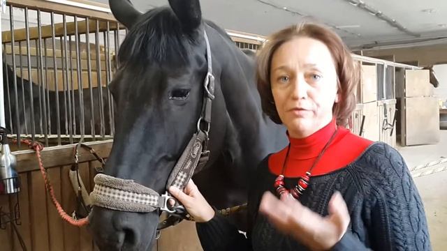 Отзыв Жанны Завьяловой после семинара ЭквиПрактики смотреть онлайн