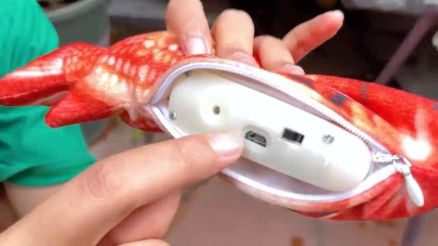 Trò Chơi Câu Cá. Chương Trình Thiếu Nhi