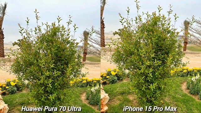 Huawei Pura 70 Ultra vs iPhone 15 Pro Max Camera Test смотреть онлайн