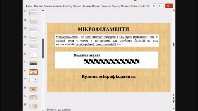 Цитоплазма, цитозоль та включення клітини. Цитоскелет. смотреть онлайн