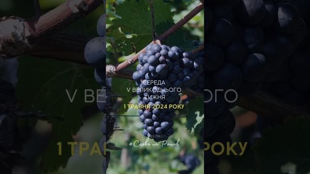 #Слово Veritas на ранок . 01 травня 2024 р. Середа, V Великоднього тижня смотреть онлайн