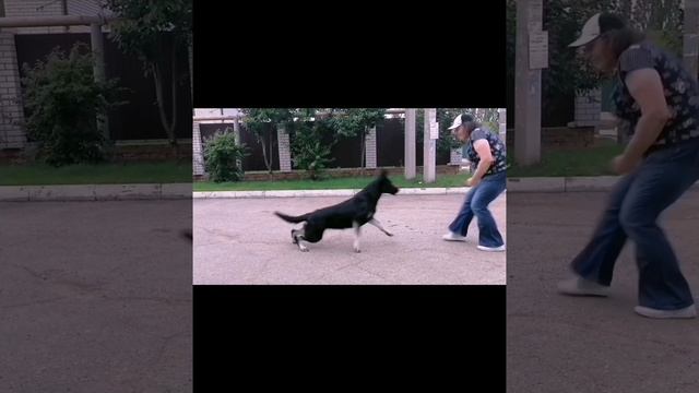 Petal_20241111_113624.mp4