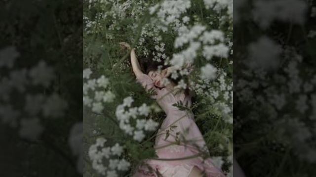 Ninfa Bundle Subliminal 🌷 смотреть онлайн
