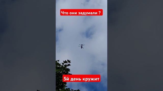 Кружит много дней над районом Кузьминки смотреть онлайн
