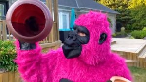 Коллекции видео для детей | Хайди и Зидан