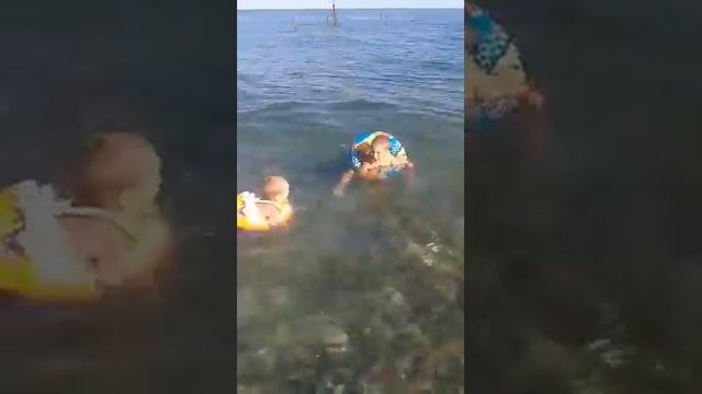 Приветное Крым 3 июля 2018 г. смотреть онлайн