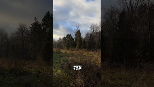 Участок в Васильевском смотреть онлайн
