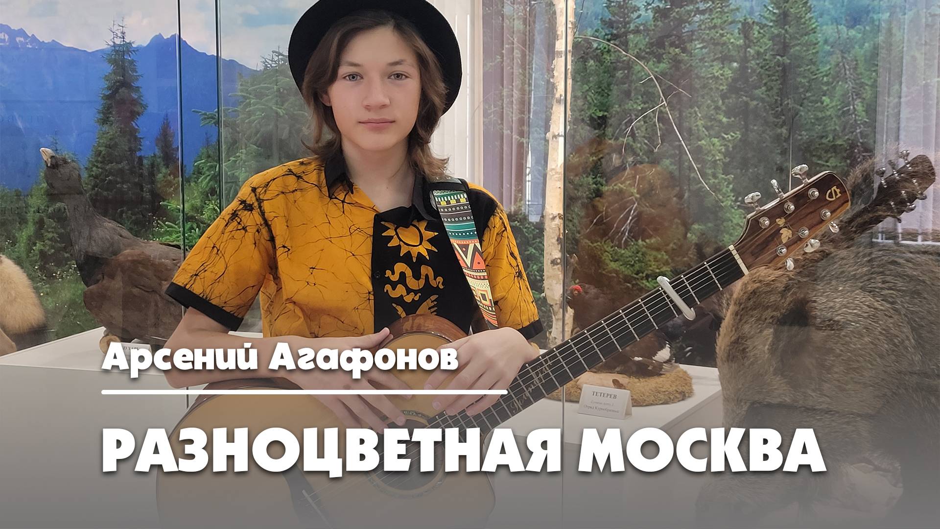 Арсений Агафонов - Разноцветная Москва