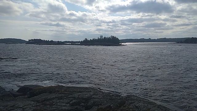 VID_20220821_120335 смотреть онлайн