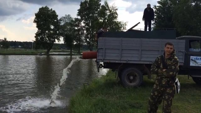 Зарыбление Летне-маточного пруда смотреть онлайн