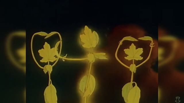 Аист мультфильм