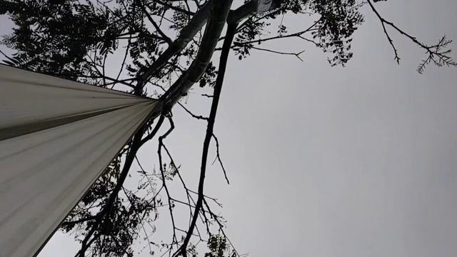 SOLO CAMPING IN HEAVY RAIN, relax under a tarp with sound of rain (ASMR) смотреть онлайн