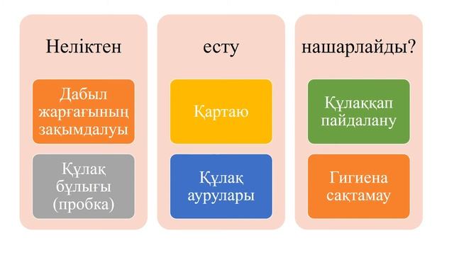 Есту мүшесінің құрылысы. Биология-8сынып