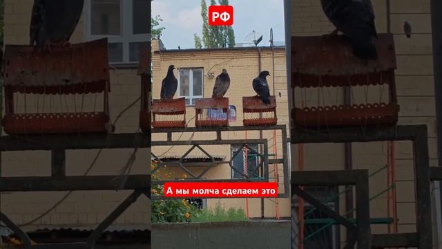 Лучше быть чем казаться. смотреть онлайн