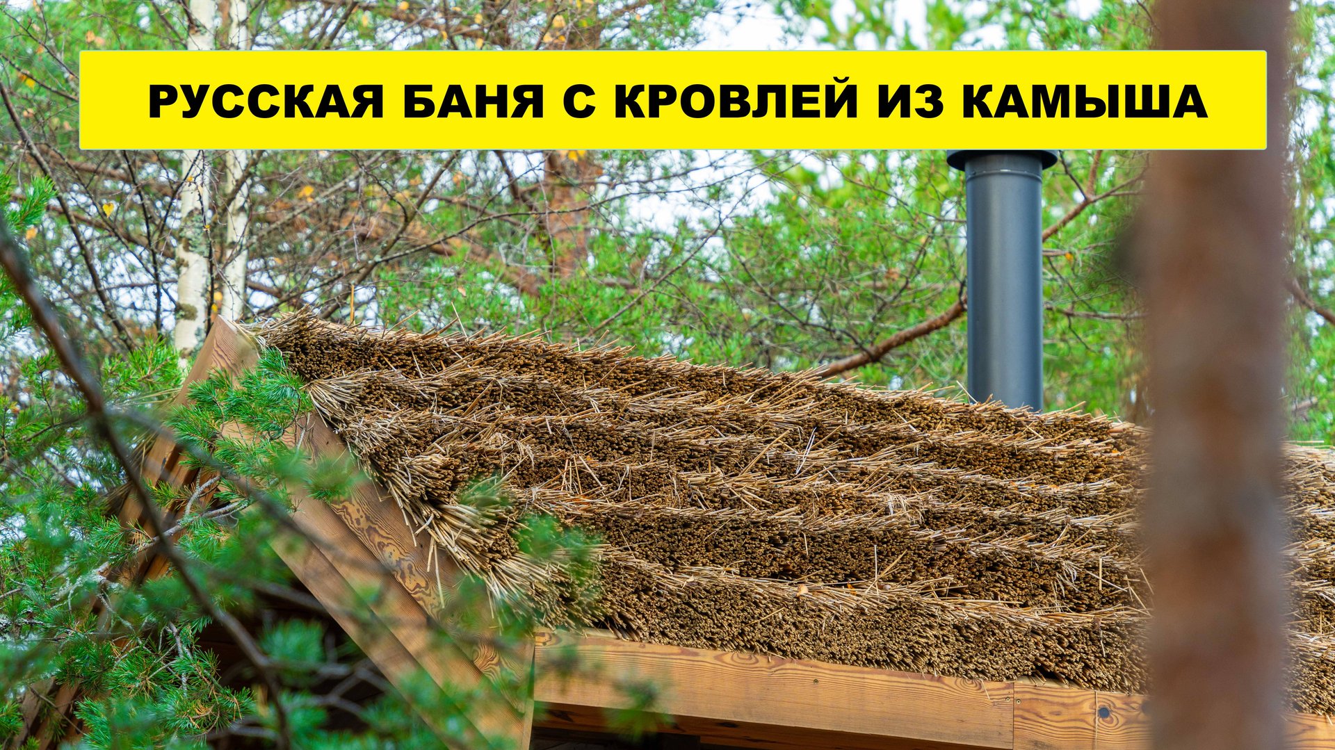 Душевная русская баня с интересной камышевой кровлей смотреть онлайн