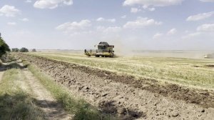 Кобайны New Holland CX840. Уборка пшеници в Ростовской области.