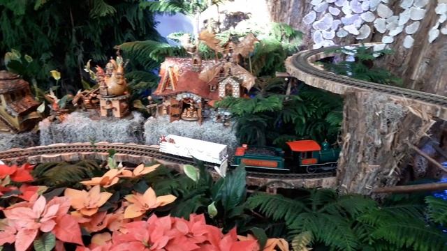 Botanic Garden 15 смотреть онлайн