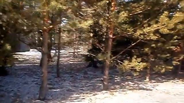 Видео. Природа Сибири. Красота. смотреть онлайн