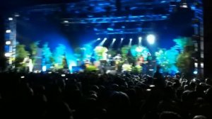 Мумий Тролль - Медведица live