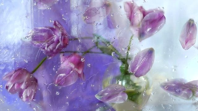 Ченнелинг. Бог Эго смотреть онлайн
