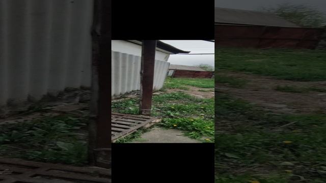 Продается недорогой дом в с. Казацкое, Красногвардейского р-на, Белгородской обл. Тел. 89100309077 смотреть онлайн