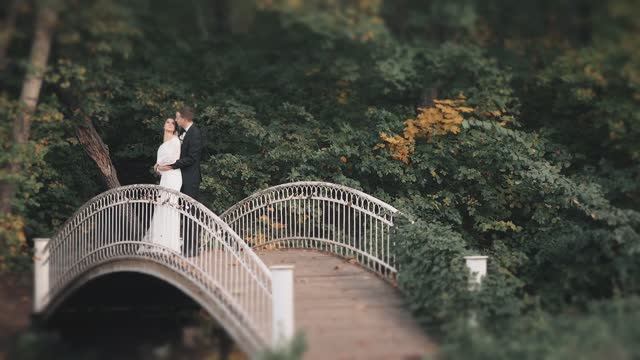 Рома Алсу смотреть онлайн