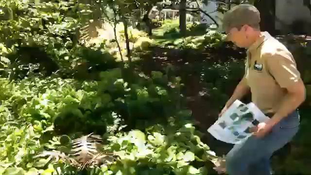 Help nature, plant native species! -- Facebook Live 5/23/19 смотреть онлайн