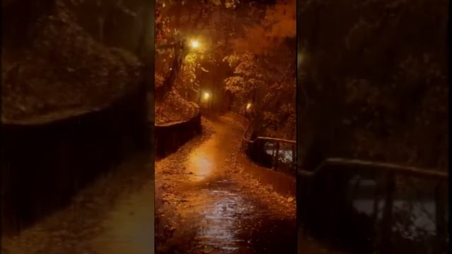 Вот и осень. Дмитрий Шлапак смотреть онлайн