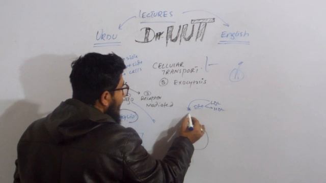 endocytosis , exocytosis , pinocytosis, phagocytosis and receptor mediated endocytosis by Dr uut смотреть онлайн